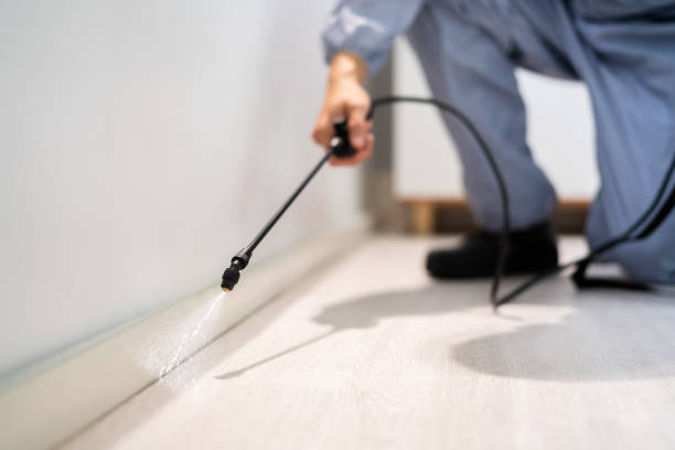 Licensed Termite Control service in Oak Grove, TN - Nex Pest Control