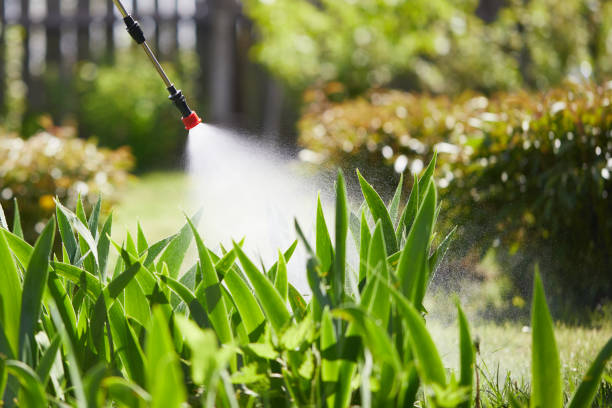 24/7 Emergency Termite Control experts in Oak Grove, TN